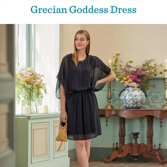 🆕🌿SUNDANCE SILK GODDESS SUNDANCE DRESS 🌿 - Picture 3 of 4